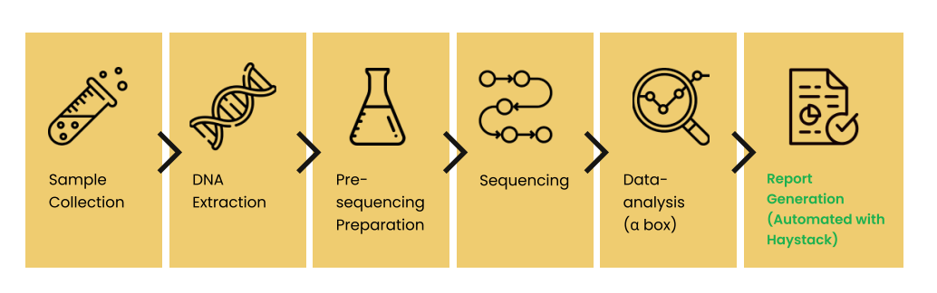 Targeted sequencing and bioinformatics workflow diagram